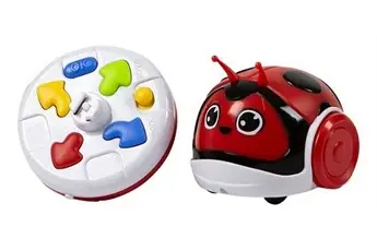 Racing Bug Coccinelle