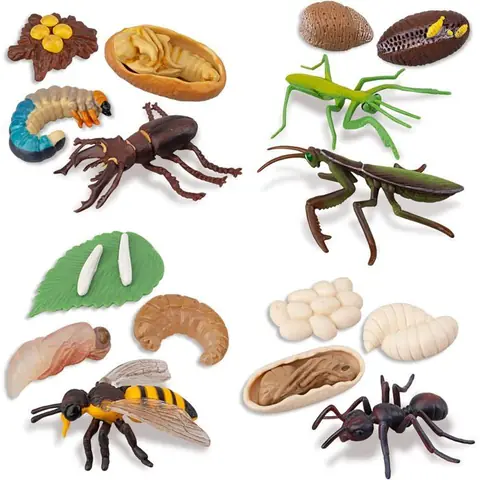 Figurines dinsectes - GIGICIAL - Lot de 16 - Cycle de vie - Éducatif - Multicolore