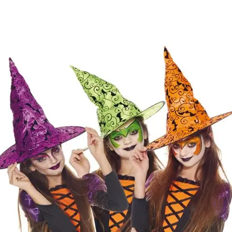 1 chapeau enfant sorcière chauve souris