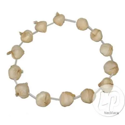 Collier gousse d'ail - accessoire Halloween