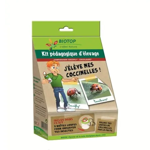 Kit délevage - Jélève mes coccinelles - Pédagogique - 2 espèces - 50 larves - Intérieur