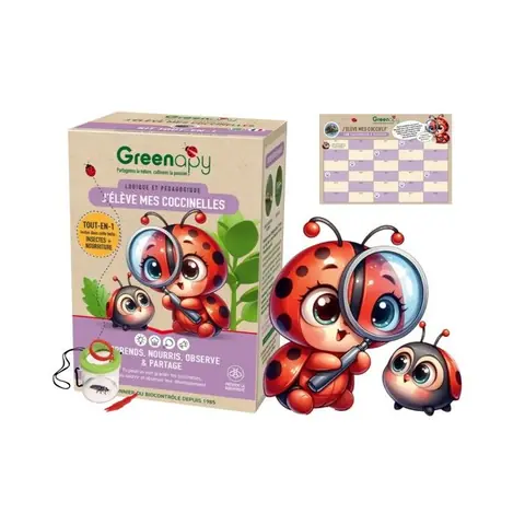 Kit délevage de coccinelles - Larves incluses