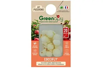 - 20 coccinelles adultes anti-pucerons - coccifly