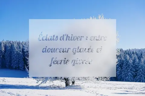 Éclats d'hiver : entre douceur glacée et féerie givrée