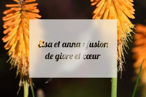 Elsa et anna : fusion de givre et cœur