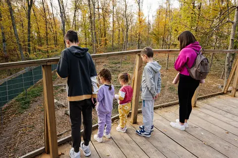 Parc animalier en famille : les tarifs 2026 pour 2 adultes et 2 enfants