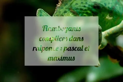 Flamboyants complices dans raiponce : pascal et maximus