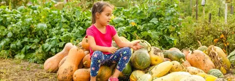 Guide pratique pour initier les enfants au jardinage : premières plantations de graines