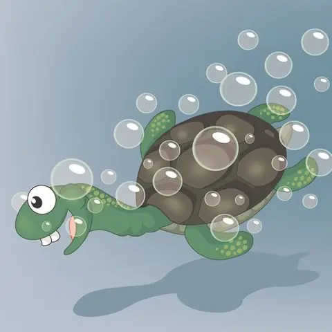 Journée mondiale de la tortue - Dites bonjour à Tiny Tim dans "I Had A Little Turtle" (J'avais une petite tortue)