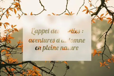 L'appel des feuilles : aventures d'automne en pleine nature