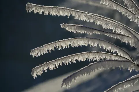 Les accessoires La Reine des Neiges : sélection complète pour fans