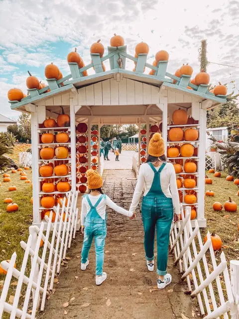 ON A DES CHAMPS DE CITROUILLES ? OÙ TROUVER LES CHAMPS DE CITROUILLES EN ITALIE !
