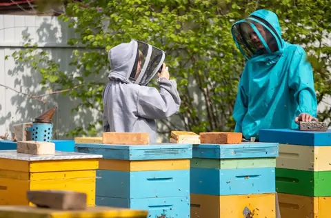 Organiser une sortie découverte de l’apiculture en famille : tarifs, inscriptions et sécurité enfants