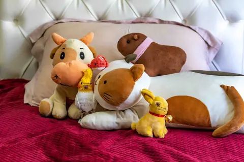 Squishmallows rares en 2026 : repérer les éditions limitées