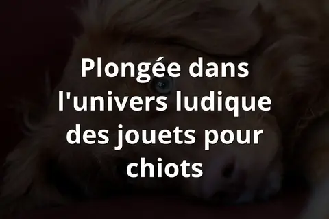 Plongée dans l'univers ludique des jouets pour chiots