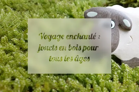 Voyage enchanté : jouets en bois pour tous les âges