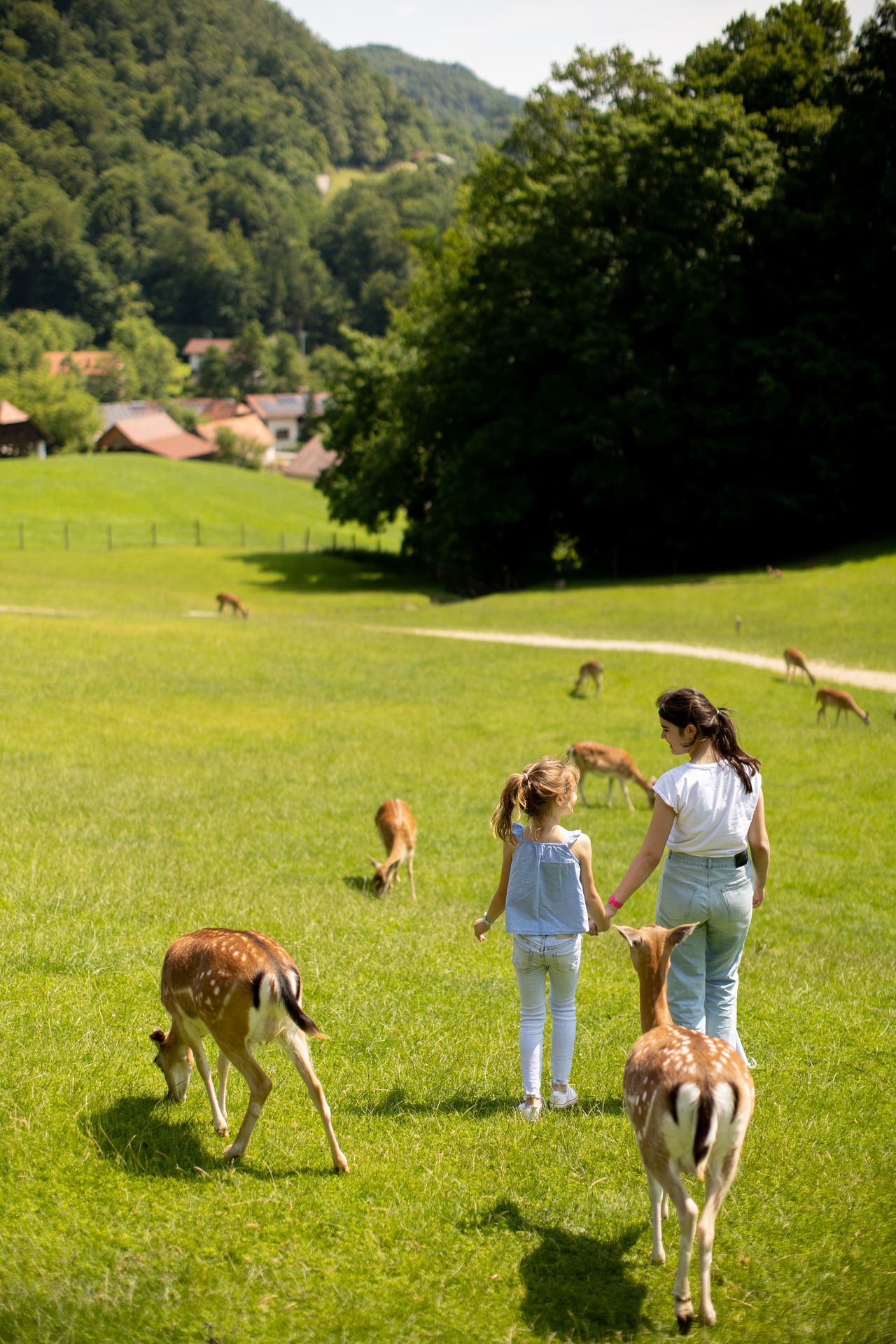 Famille à l’entrée d’un parc animalier, ambiance nature et sortie en plein air.