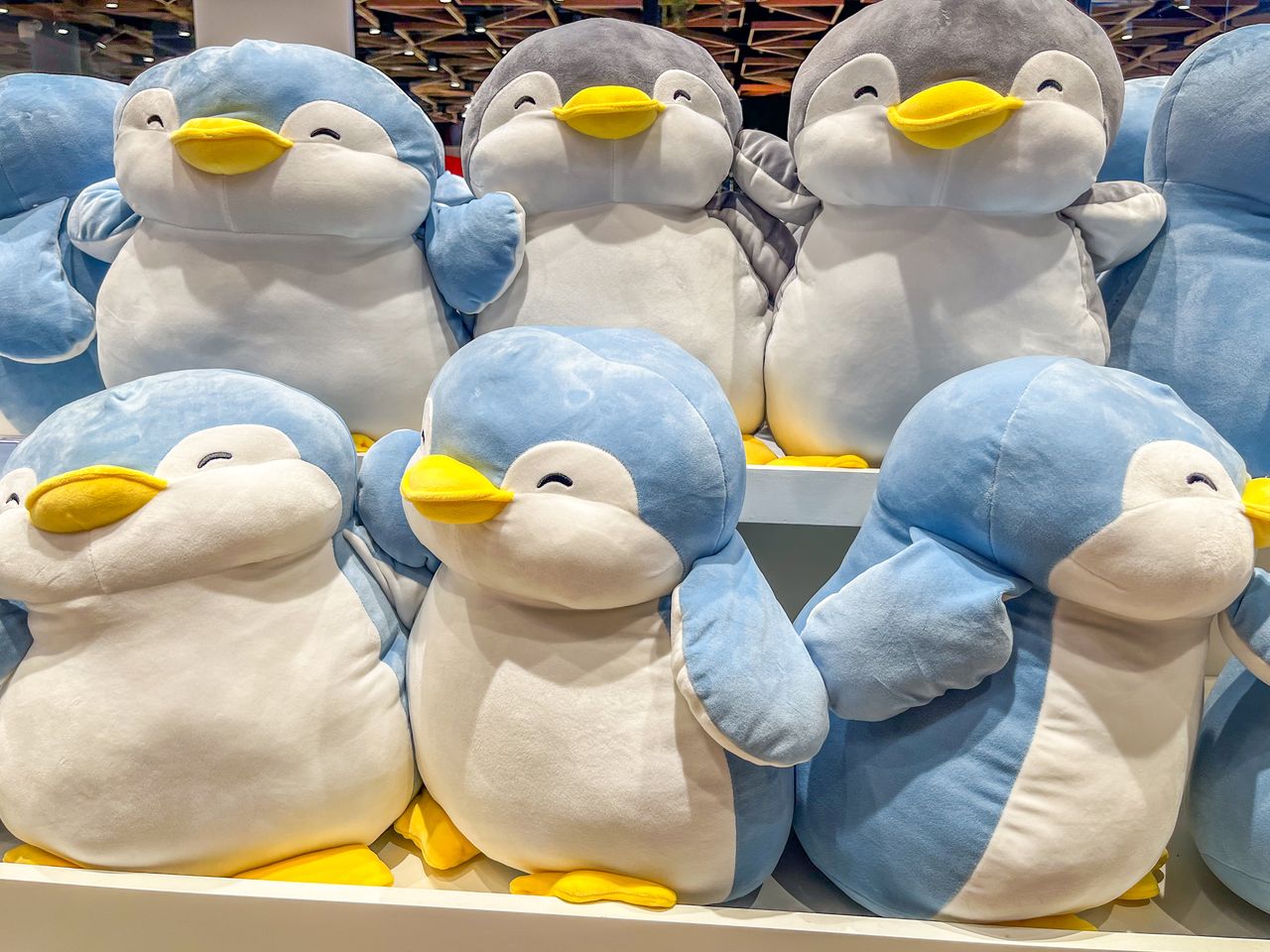 Peluches pingouins colorées en collection sur étagère, douces, adorables et parfaites pour enfants et collectionneurs.