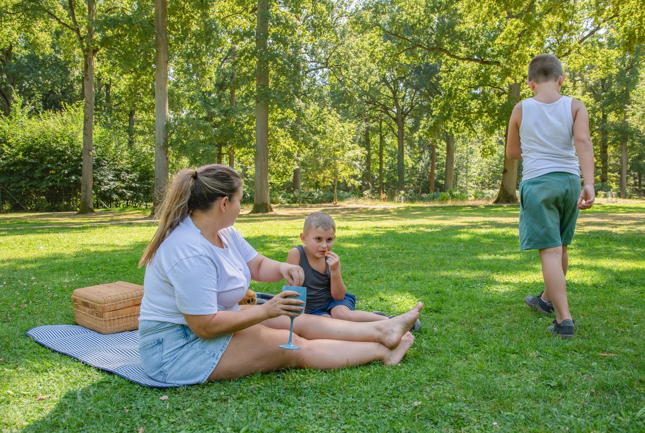 Pique-nique familial zéro déchet au parc : boîtes réutilisables, gourdes et nappe en tissu sur l’herbe.