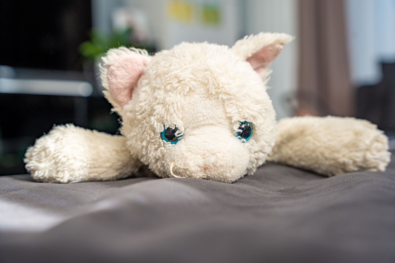 Squishmallow propre séchant sur un étendoir, avec bassine, chiffon doux et lessive délicate.