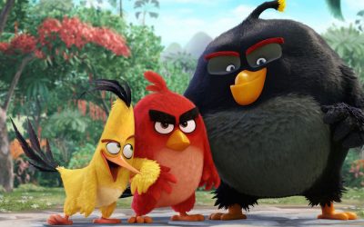 Angry Birds, Le film, mais pas que !
