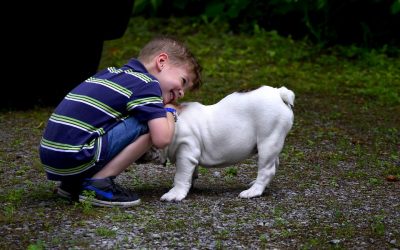 Adopter un animal pour les enfants : bonne ou mauvaise idée ?