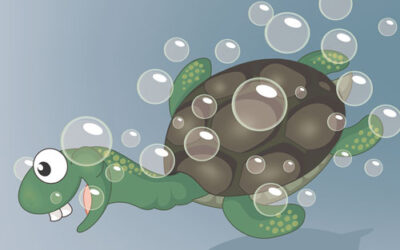 Journée mondiale de la tortue – Dites bonjour à Tiny Tim dans « I Had A Little Turtle » (J’avais une petite tortue)