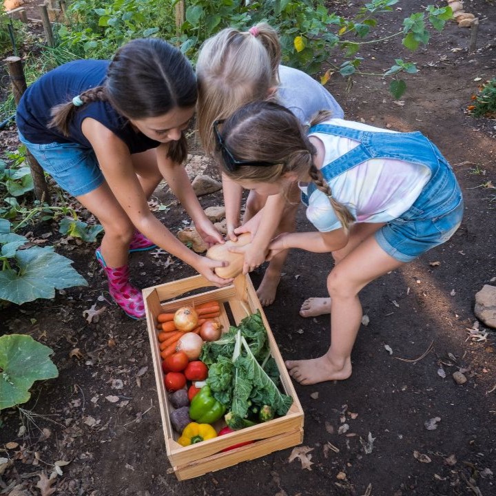 Les avantages du jardinage avec les enfants