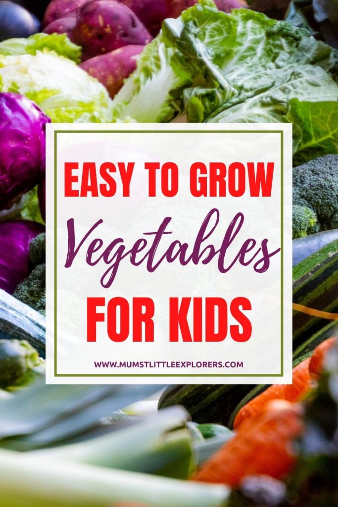 Légumes faciles à cultiver pour les enfants