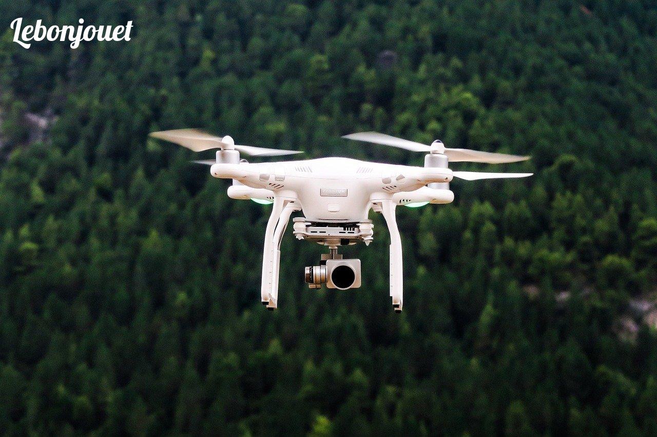 Drone volant dans la nature : robustesse et maniabilité idéales pour l'apprentissage.